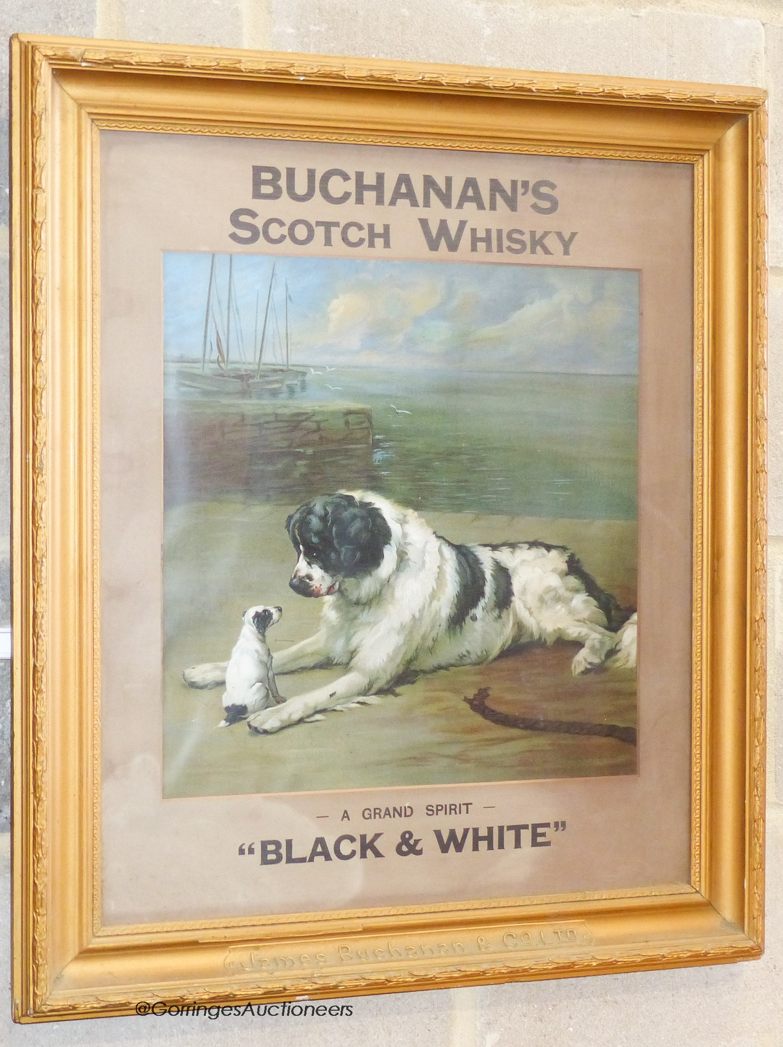 Buchanan's Scotch Whisky, 'black and white; a coloured advertising print. W-40, H-41cm.